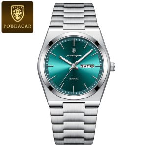 Poedagar silver green face
