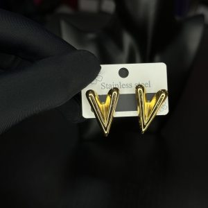 006 Stainless steel earrings
