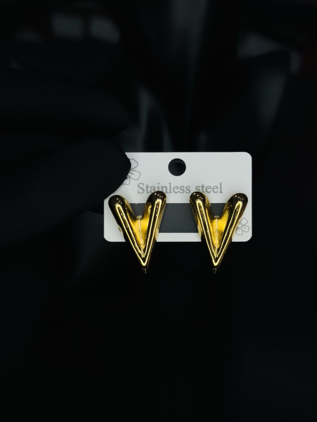 006 Stainless steel earrings