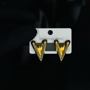 006 Stainless steel earrings