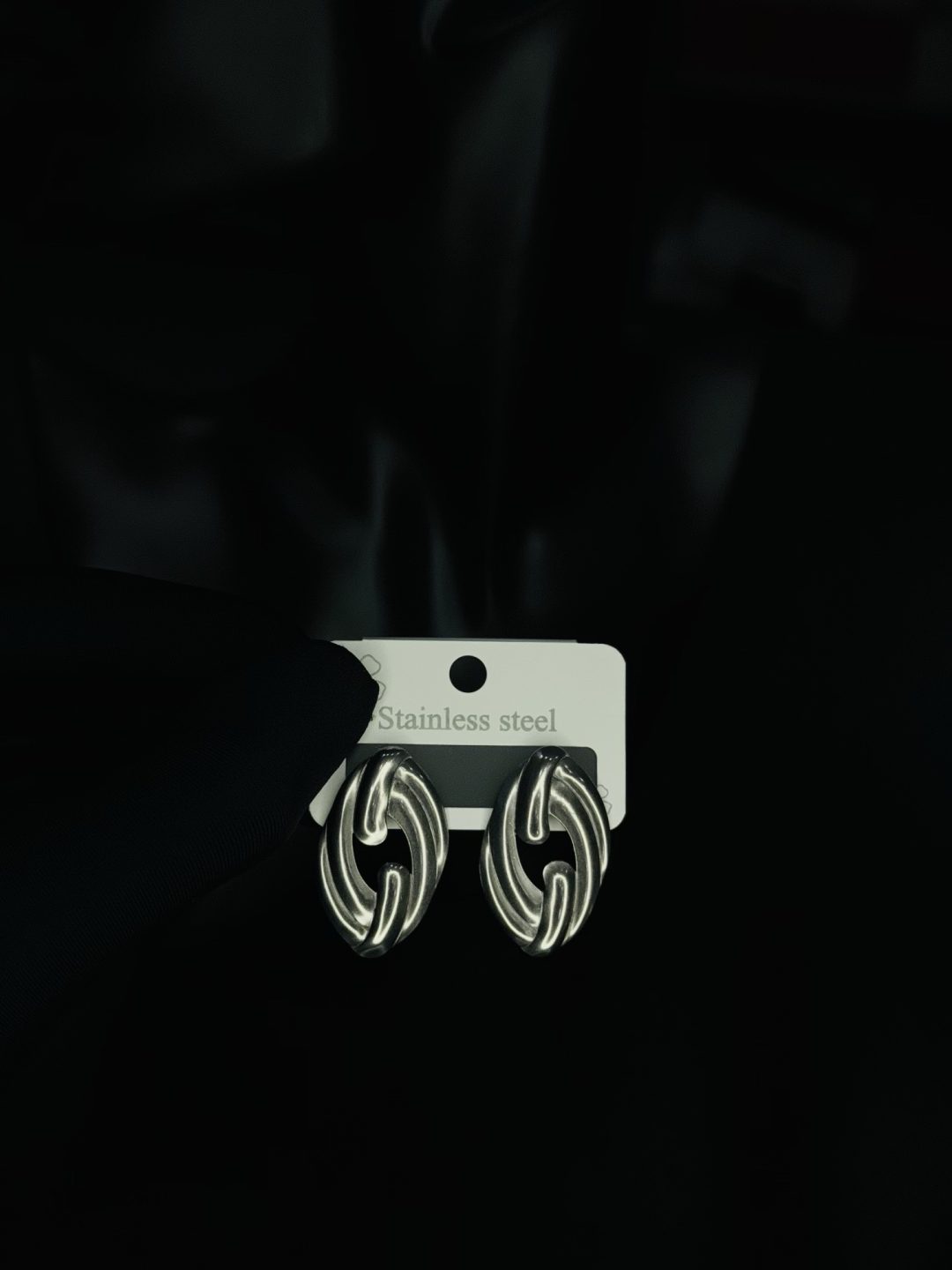 019 stainless steel earrings