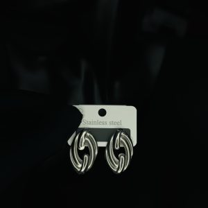 019 stainless steel earrings