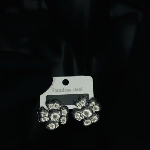 023 stainless steel earrings