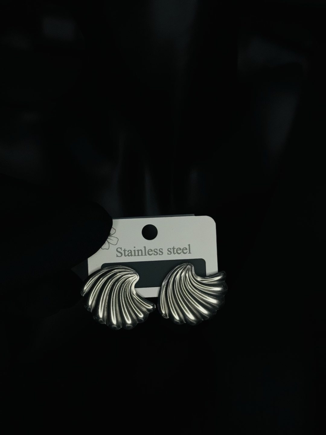 024 stainless steel earrings