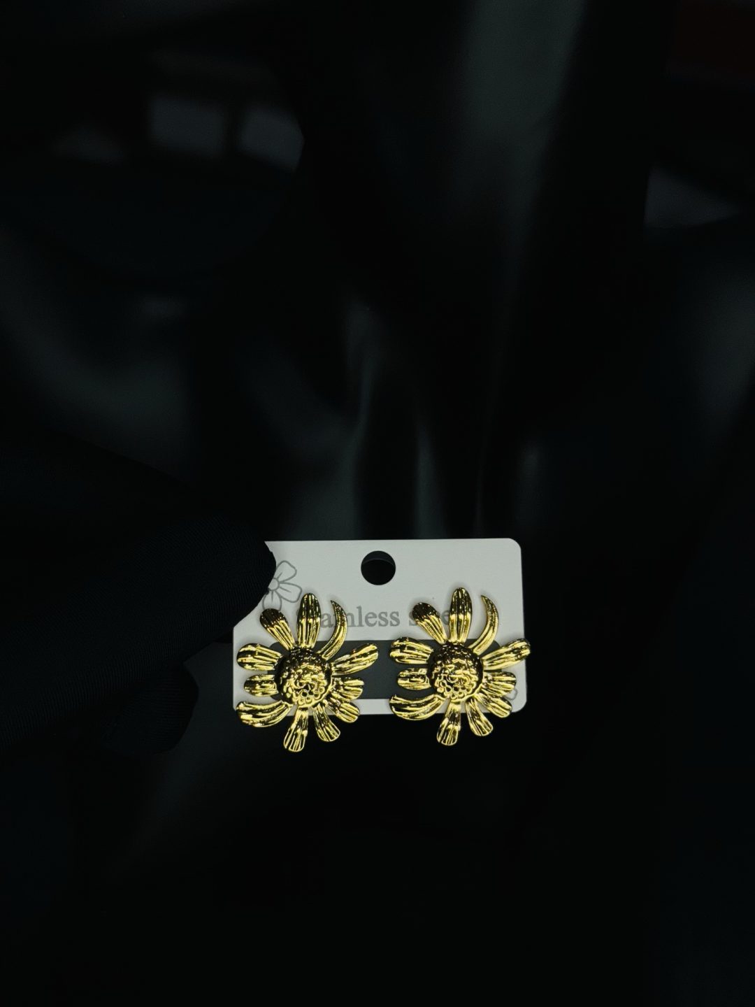 016 stainless steel earrings