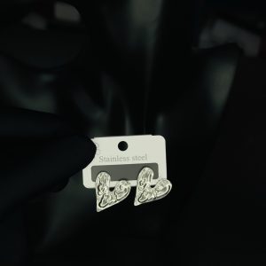 027 stainless steel earrings
