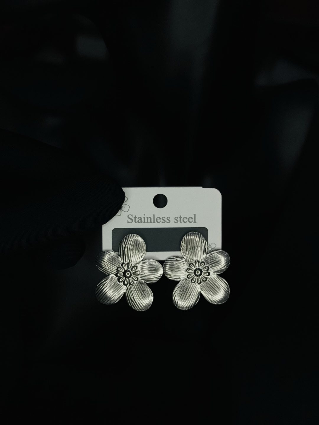 029 stainless steel earrings
