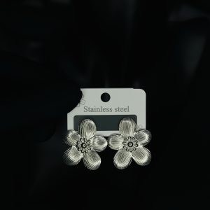 029 stainless steel earrings