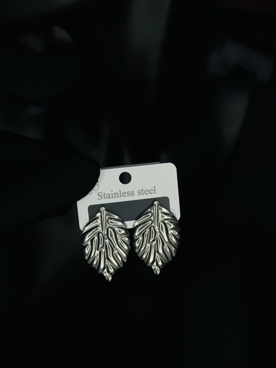 030 stainless steel earrings