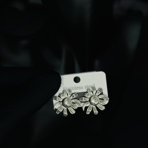 031 stainless steel earrings