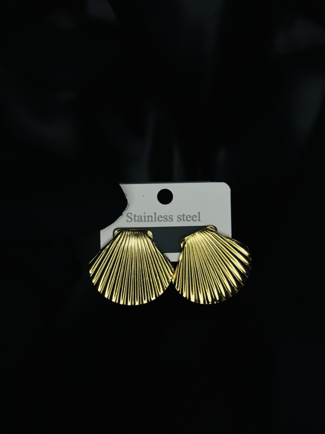 012 stainless steel earrings