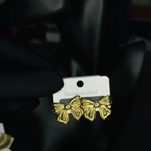 004 stainless steel earrings