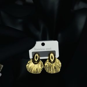 009 stainless steel earrings