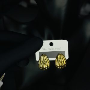 008 stainless steel earrings