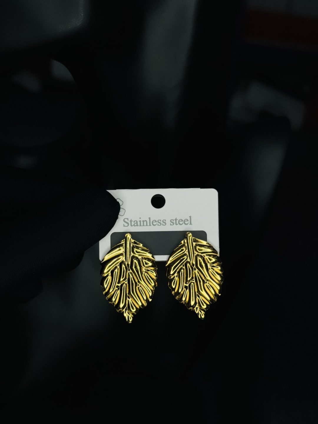 005 stainless steel earrings