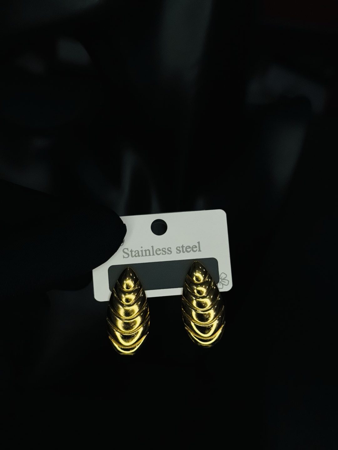 011 stainless steel earrings