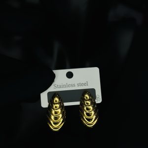 011 stainless steel earrings
