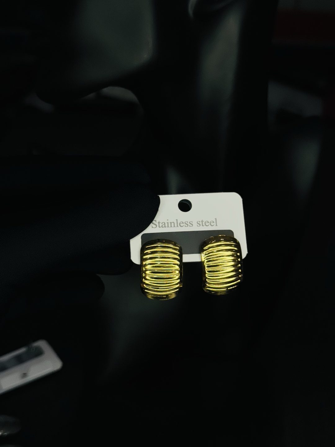 002 stainless steel earrings