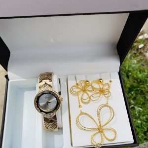 Dior watch set with box