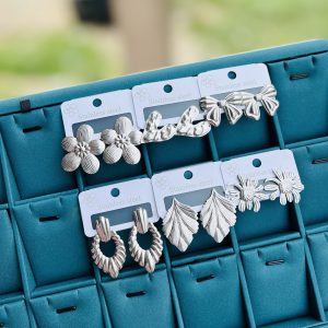 Half dozen of Silver stainless steel earrings (6pcs)