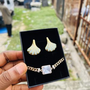 Spectacular earring and bracelet combo with box 003