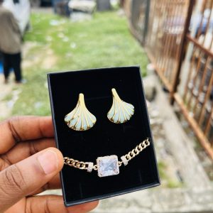 Spectacular earring and bracelet combo with box 003