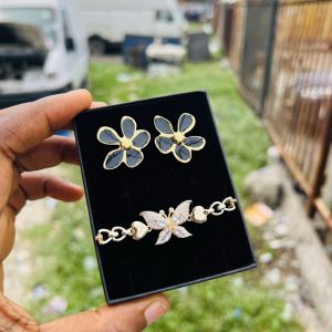 Spectacular earring and bracelet combo with box 005