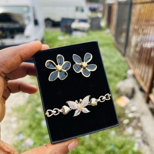 Spectacular earring and bracelet combo with box 005