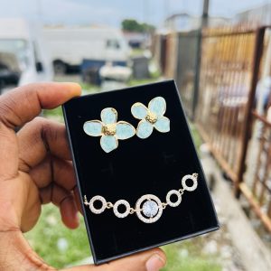Spectacular earring and bracelet combo with box 006