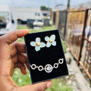 Spectacular earring and bracelet combo with box 006