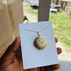 Clamps picture locket