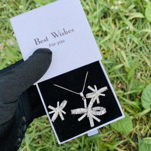 We lady silver set with best wishes box 006