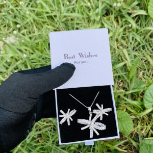 We lady silver set with best wishes box 006