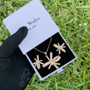 We lady gold set with best wishes box 005