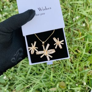 We lady gold set with best wishes box 005