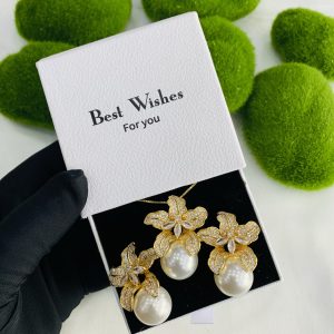 We lady set with best wishes box