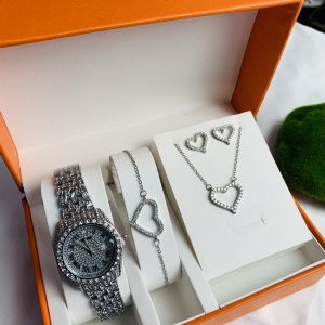 Rolex luxury silver set with exact box