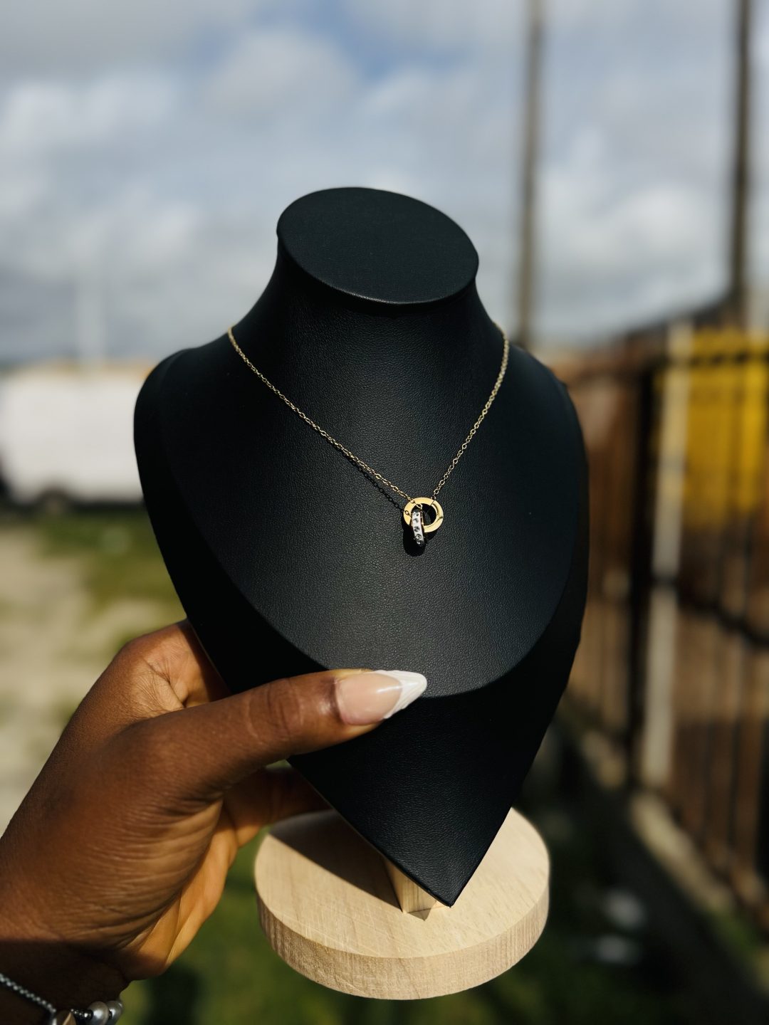 Stainless Steel Ringlet necklace 016