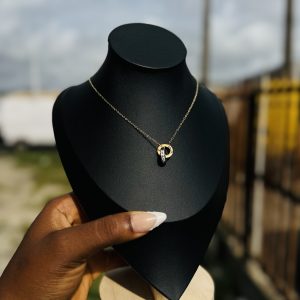 Stainless Steel Ringlet necklace 016