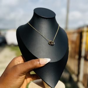 Stainless Steel Ringlet necklace 016