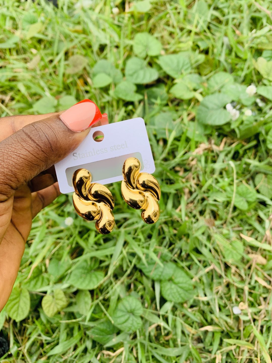 Stainless steel earring 001