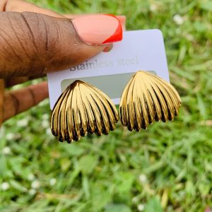 Stainless steel earrings 004