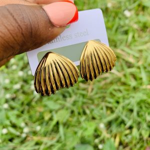 Stainless steel earrings 004