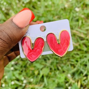 Stainless steel earrings 005