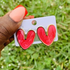 Stainless steel earrings 005