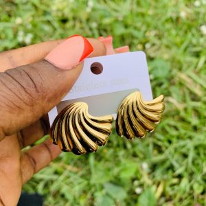 Stainless steel earrings 010