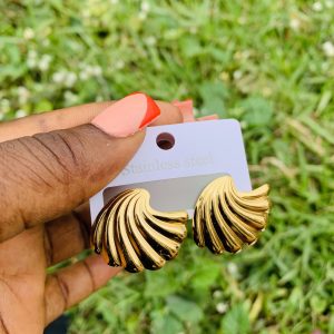 Stainless steel earrings 010