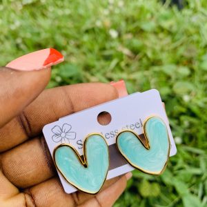 Stainless steel earrings 029