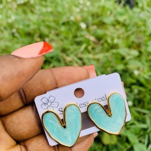 Stainless steel earrings 029