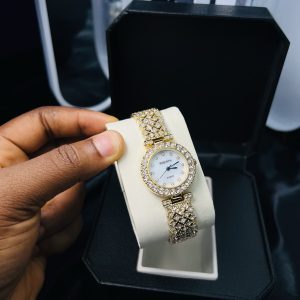 Rebirth gold ice stoned face watch